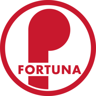 Fortuna/Ruitenheer U15-3